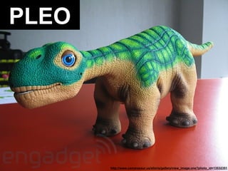 ROBOTS
http://www.camarasaur.us/alloria/gallery/view_image.one?photo_id=13532351
PLEO
 