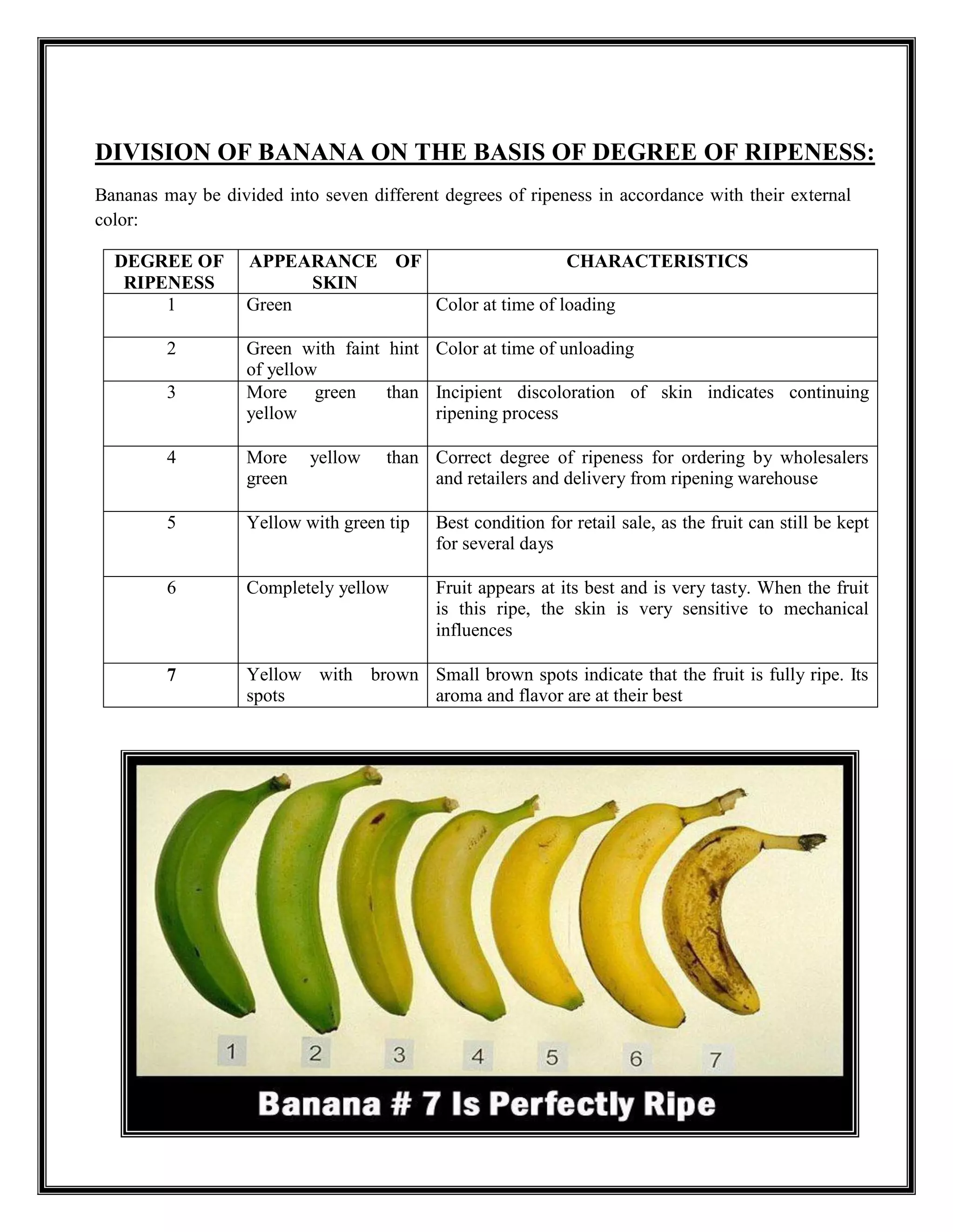 A technical guide book of banana | PDF