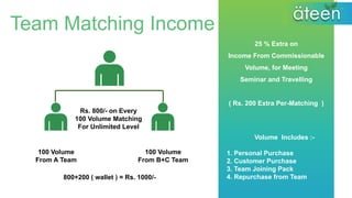 Ateen business plan english