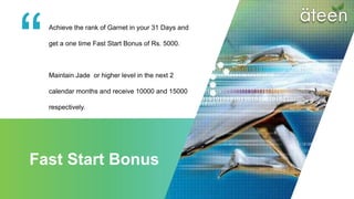 Ateen business plan english