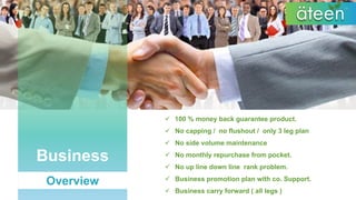 Ateen business plan english