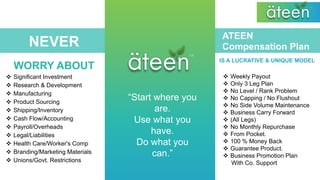 Ateen business plan english