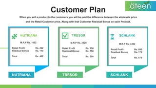 Ateen business plan english