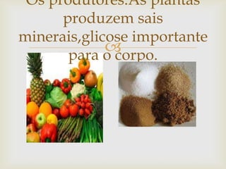 
Os produtores:As plantas
produzem sais
minerais,glicose importante
para o corpo.
 