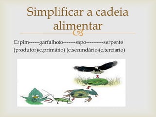 
Capim------garfalhoto-------sapo----------serpente
(produtor)(c.primário) (c.secundário)(c.terciario)
Simplificar a cadeia
alimentar
 