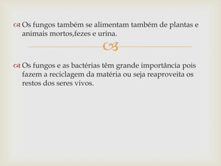 
 Os fungos também se alimentam também de plantas e
animais mortos,fezes e urina.
 Os fungos e as bactérias têm grande importância pois
fazem a reciclagem da matéria ou seja reaproveita os
restos dos seres vivos.
 