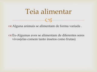 
 Alguna animais se alimentam de forma variada .
 Ex-Algumas aves se alimentam de diferentes seres
vivos(elas comem tanto insetos como frutas)
Teia alimentar
 