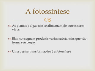 
 As plantas e algas não se alimentam de outros seres
vivos.
 Elas conseguem produzir varias substancias que vão
forma seu corpo.
 Uma dessas transformações é a fotossítese
A fotossíntese
 