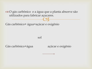 
 O gás carbônico e a água que a planta absorve são
utilizados para fabricar açucares.
Gás carbônico+ água=açúcar e oxigênio
sol
Gás carbônico+água açúcar e oxigênio
 