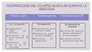 FISIOPATOLOGÍA DEL COLAPSO ALVEOLAR DURANTE LA
ANESTESIA
Posición supina + Anestesia general = Disminución de la CRF
Por Compresión
 Desplazamiento
cefálico del
diafragma
 Disminución de la
sección transversal del
tórax
 Disminución del
tono de los M.
intercostales
Por Reabsorción
 Atrapamiento de gas en
los alveolos distales
 Diferencia de presión
alveolos/ atmósfera
 Disminución de
relación VA/Q
Por disminución de
surfactante
 La función del surfactante
alveolar es alterada por
los gases anestésicos
 El volumen pulmonar
disminuye por estos gases
 