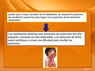 Las resistencias elásticas que presentan los pulmones del niño
pequeño y lactante es más distensible, y la retracción de dicha
pared contribuye a crear una dificultad para insuflar los
pulmones
puesto que a mayor duración de la atelectasia, se requerirán presiones
de insuflación superiores para lograr una expansión de los territorios
colapsados
 