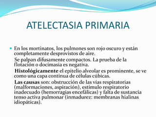 ATELECTASIA PRIMARIAEn los mortinatos, los pulmones son rojo oscuro y están completamente desprovistos de aire.      Se palpan difusamente compactos. La prueba de la flotación o docimasia es negativa.Histológicamente el epitelio alveolar es prominente, se ve como una capa continua de células cúbicas.     Las causas son: obstrucción de las vías respiratorias (malformaciones, aspiración), estímulo respiratorio inadecuado (hemorragias encefálicas) y falta de sustancia tenso activa pulmonar (inmadurez: membranas hialinas idiopáticas).