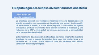 La anestesia general con ventilación mecánica lleva a la desactivación del
agente tensoactivo por compresión de la película que forma y la eliminación
de esta desde el alvéolo a la vía aérea pequeña. La reducción del agente
tensioactivo produce un aumento de la tensión superficial a nivel local y una
reducción de la CRF a nivel global, así como un aumento de la permeabilidad
de la barrera alveoloendotelial.
Este mecanismo de producción de atelectasia es menos importante durante la
anestesia ya que el agente tensoactivo tiene una vida media larga y se
recambia en 14 horas. Puede contribuir más en pacientes que reciben
ventilación mecánica prolongada.
Alteración del
agente tensoactivo
Fisiopatología del colapso alveolar durante anestesia
 