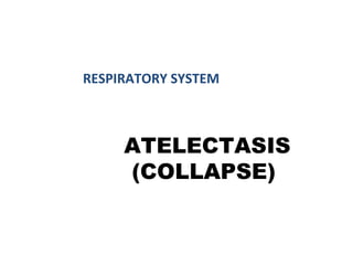 ATELECTASIS
(COLLAPSE)
RESPIRATORY SYSTEM
 