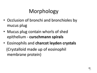 41
Morphology
• Occlusion of bronchi and bronchioles by
mucus plug
• Mucus plug contain whorls of shed
epithelium - curschmann spirals
• Eosinophils and charcot leyden crystals
(Crystalloid made up of eosinophil
membrane protein)
41
 