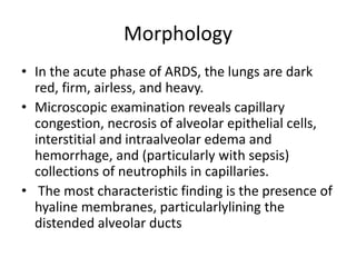 Morphology
• In the acute phase of ARDS, the lungs are dark
red, firm, airless, and heavy.
• Microscopic examination reveals capillary
congestion, necrosis of alveolar epithelial cells,
interstitial and intraalveolar edema and
hemorrhage, and (particularly with sepsis)
collections of neutrophils in capillaries.
• The most characteristic finding is the presence of
hyaline membranes, particularlylining the
distended alveolar ducts
 