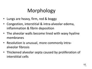 63
Morphology
• Lungs are heavy, firm, red & boggy
• Congestion, interstitial & intra-alveolar edema,
inflammation & fibrin deposition
• The alveolar walls become lined with waxy hyaline
membranes
• Resolution is unusual, more commonly intra-
alveolar fibrosis
• Thickened alveolar septa caused by proliferation of
interstitial cells
63
 
