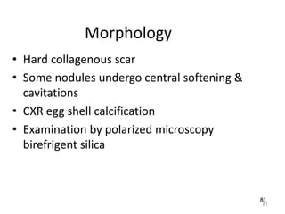 81
Morphology
• Hard collagenous scar
• Some nodules undergo central softening &
cavitations
• CXR egg shell calcification
• Examination by polarized microscopy
birefrigent silica
81
 