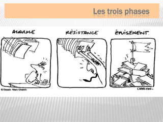 Les trois phases
 