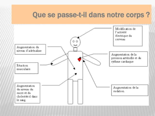 Que se passe-t-il dans notre corps ?
8
 