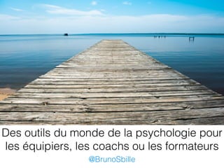 Des outils du monde de la psychologie pour
les équipiers, les coachs ou les formateurs
@BrunoSbille
 