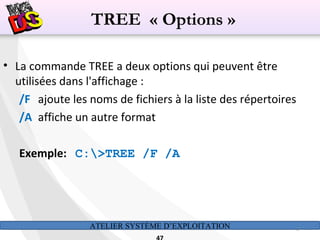 ATELIER SYSTÈME D’EXPLOITATION 47
• La commande TREE a deux options qui peuvent être
utilisées dans l'affichage :
/F ajoute les noms de fichiers à la liste des répertoires
/A affiche un autre format
Exemple: C:>TREE /F /A
TREE « Options »
 