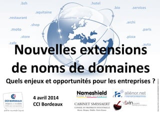 1400 nouvelles extensions de noms de domaines gTLDs quels enjeux et o…