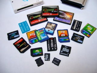 Atelier#2 Renum Sénior