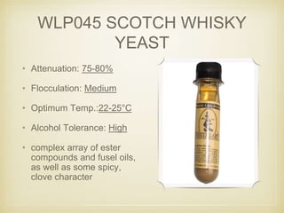 WLP045 SCOTCH WHISKY
YEAST
• Attenuation: 75-80%
• Flocculation: Medium
• Optimum Temp.:22-25°C
• Alcohol Tolerance: High
• complex array of ester
compounds and fusel oils,
as well as some spicy,
clove character
 