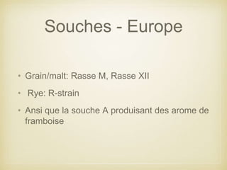 Souches - Europe
• Grain/malt: Rasse M, Rasse XII
• Rye: R-strain
• Ansi que la souche A produisant des arome de
framboise
 