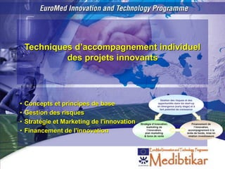 Techniques d’accompagnement individuel
des projets innovants
• Concepts et principes de base
• Gestion des risques
• Stratégie et Marketing de l'innovation
• Financement de l'innovation
 