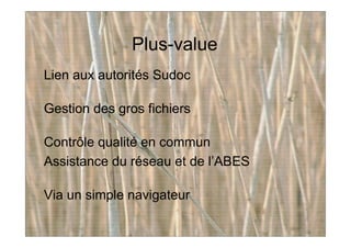 Plus-value
Lien aux autorités Sudoc
Gestion des gros fichiers
Contrôle qualité en commun
Assistance du réseau et de l’ABES
Via un simple navigateur
 