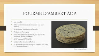 FOURME D’AMBERT AOP
• pâte persillée
• affiné un minimum de 2 mois dans une cave
humide.
• Sa croûte est régulièrement brossée.
• Produite en Auvergne,
• entre 600 et 1 600 m d’altitude, sur la zone de
montagne du Puy-de-Dôme,
• AOC* depuis 1972 (AOP)
• lait de vaches nourries d’herbes
• les druides l’utilisaient déjà pour célébrer leur culte
à « Pierre-sur-Haute »
Photo: fromagerie Hamel
 