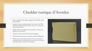 Cheddar rustique d’Avonlea
• Style originaire du village anglais de Cheddar dans
le Somerset.
• Lait provenant exclusivement des vaches de l'Île-
du-Prince-Édouard de fermes situées à moins de
32 km du littoral
• Herbe salée naturellement par la brise venant du
golfe du St-Laurent.
• Affiné 18 mois selon la méthode anglaise.
• L'étamine permetant de respirer durant l'affinage.
• Donc une texture plus sèche et une saveur plus
caractéristique de pommes de terre due à la croûte
naturelle qui se forme sur l'étamine.
 