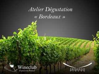 Atelier Dégustation
« Bordeaux »

 