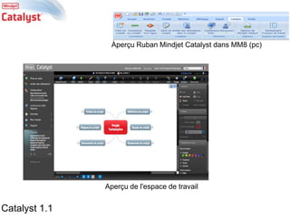 Aperçu Ruban Mindjet Catalyst dans MM8 (pc)Aperçu de l'espace de travailCatalyst 1.1