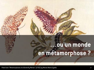 14
…ou un monde
en métamorphose ?
Plate from ‘’Metamorphosis of a Butterfly Merian’’ (1705) by Merian Maria Sybilla
 