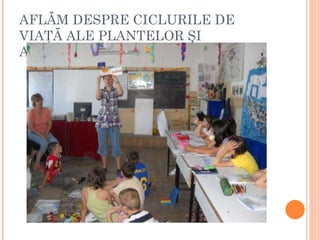 AFLĂM DESPRE CICLURILE DE VIAŢĂ ALE PLANTELOR ŞI ANIMALELOR 