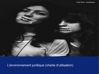 Crédit Photo : foxandfeaters




L'environnement juridique (charte d'utilisation)
 