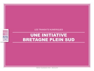 LES TRANSATS NUMERIQUES 
UNE INITIATIVE BRETAGNE PLEIN SUD 
Atelier Facebook initié - 20/11/14  
