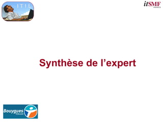 Synthèse de l’expert
 