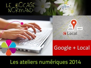Google + Local

 
