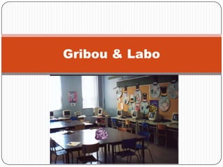 Gribou & Labo
 