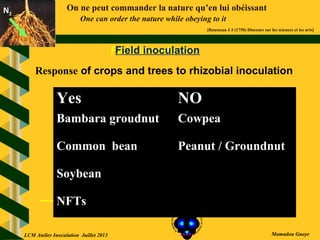 On ne peut commander la nature qu’en lui obéissant
One can order the nature while obeying to it
[Rousseau J J (1750) Discours sur les sciences et les arts]
N2N2
Mamadou Gueye
Response of crops and trees to rhizobial inoculation
Field inoculationField inoculation
Yes NO
Bambara groudnut
Common bean
Soybean
NFTs
Cowpea
Peanut / Groundnut
LCM Atelier Inoculation Juillet 2013
 