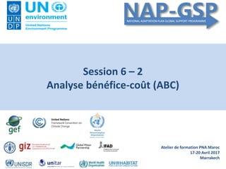 Atelier de formation PNA Maroc
17-20 Avril 2017
Marrakech
Session 6 – 2
Analyse bénéfice-coût (ABC)
 