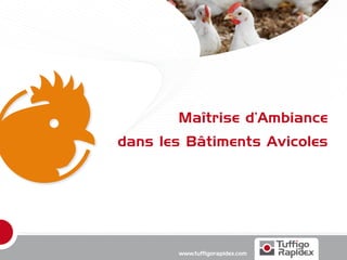 Maîtrise d’Ambiance
dans les Bâtiments Avicoles




       www.tuffigorapidex.com
 