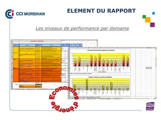 ELEMENT DU RAPPORT


Les niveaux de performance par domaine
 