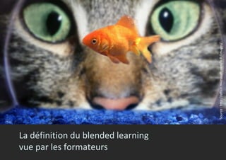 La définition du blended learning
vue par les formateurs
Source:http://office.microsoft.com/fr-fr/images/
 