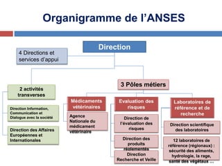 Organigramme de l’ANSES
Direction
Générale4 Directions et
services d’appui
3 Pôles métiers
2 activités
transverses
Direction Information,
Communication et
Dialogue avec la société Agence
Nationale du
médicament
vétérinaireDirection des Affaires
Européennes et
Internationales
Direction de
l’évaluation des
risques
Direction des
produits
réglementés
Direction
Recherche et Veille
Direction scientifique
des laboratoires
12 laboratoires de
référence (régionaux) :
sécurité des aliments,
hydrologie, la rage,
santé des végétaux …
 