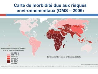 Carte de morbidité due aux risques
environnementaux (OMS – 2006)
 